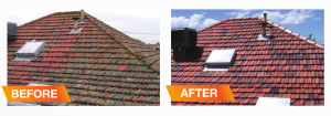 30 Seconds Roof Treatment Before and After