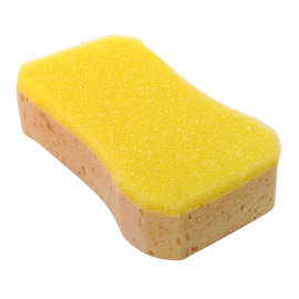 Mr Clean Power Sponge