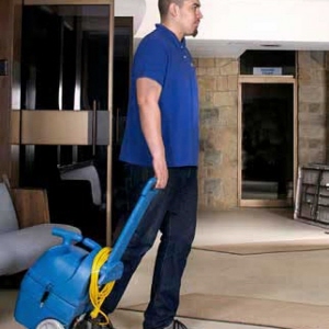 Polivac Compact Carpet Spotter 
