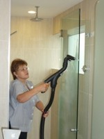 SV8D Steam Cleaner Shower Cleaning