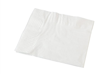 Napkin Dinner 2 Ply White 100Pack