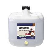 Research Sensation Carpet Spotter 15L