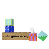 Who Gives A Crap Facial Tissues 3Ply 65 Sheet Cube 12 Carton